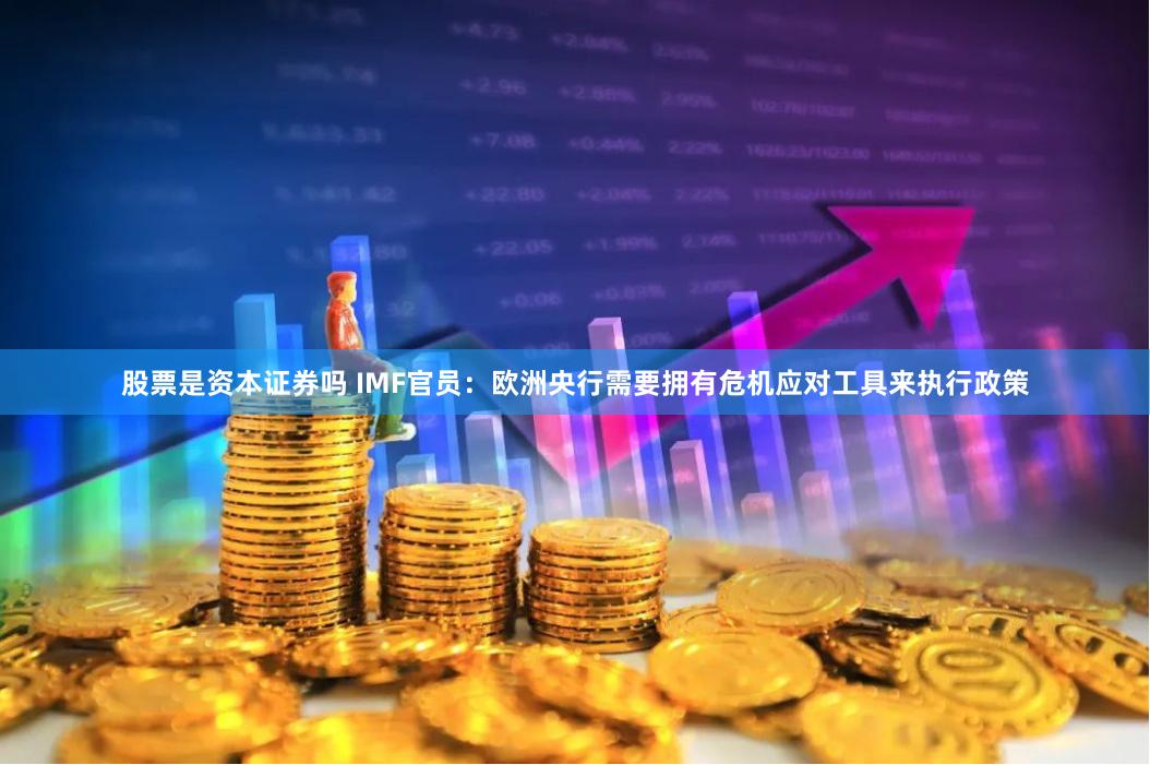股票是资本证券吗 IMF官员：欧洲央行需要拥有危机应对工具来执行政策