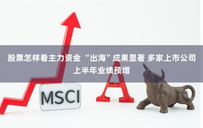 股票怎样看主力资金 “出海”成果显著 多家上市公司上半年业绩预增