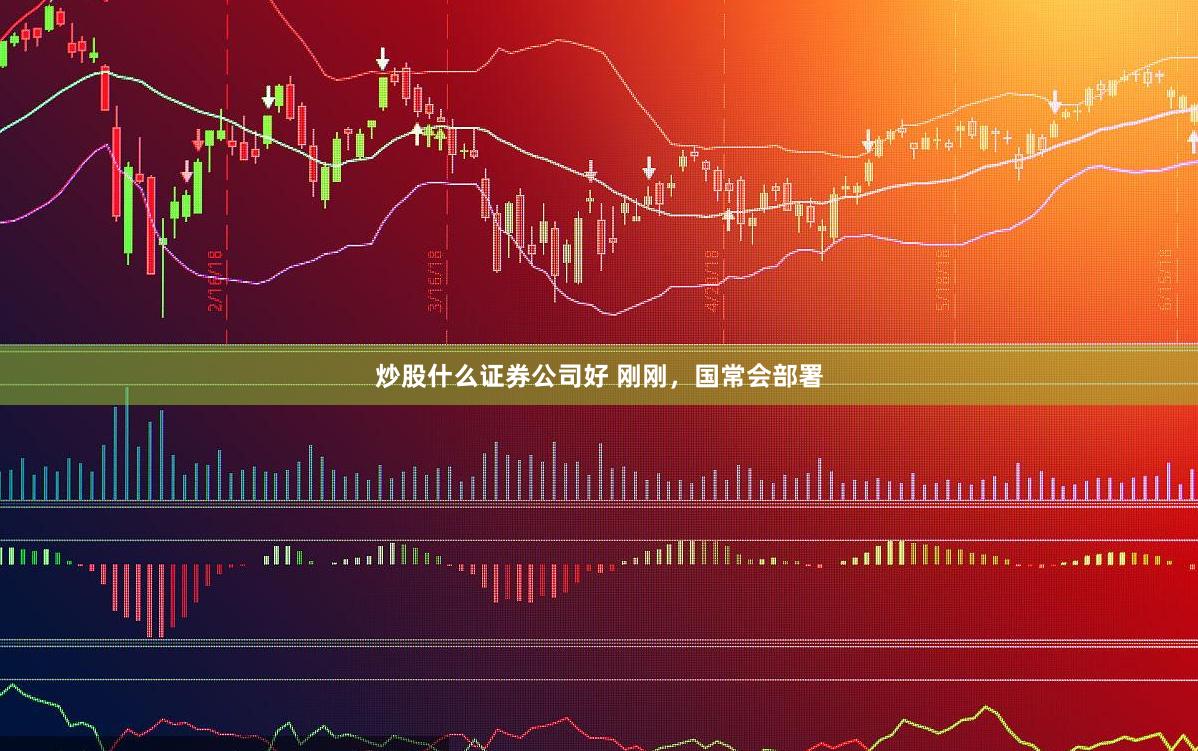 炒股什么证券公司好 刚刚，国常会部署