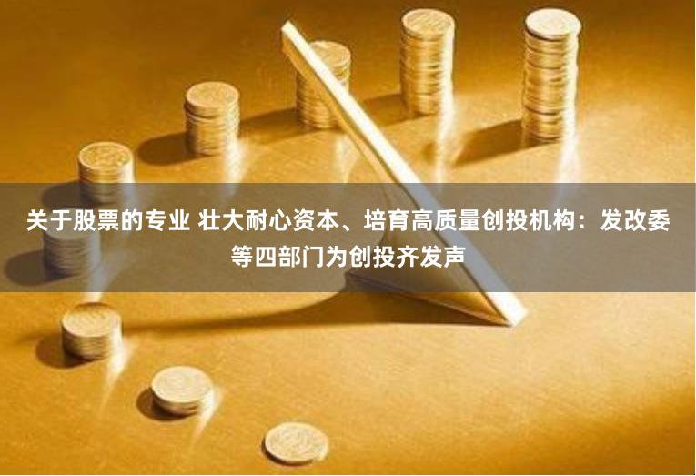 关于股票的专业 壮大耐心资本、培育高质量创投机构：发改委等四部门为创投齐发声