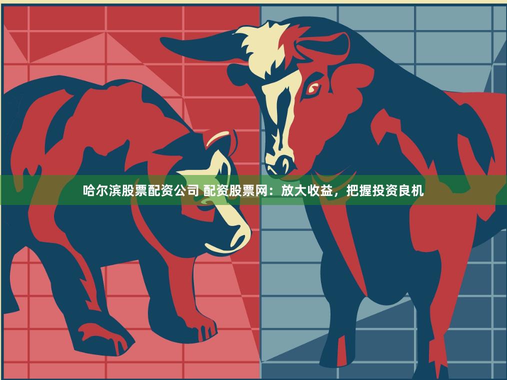 哈尔滨股票配资公司 配资股票网：放大收益，把握投资良机