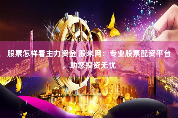 股票怎样看主力资金 股米网：专业股票配资平台，助您投资无忧