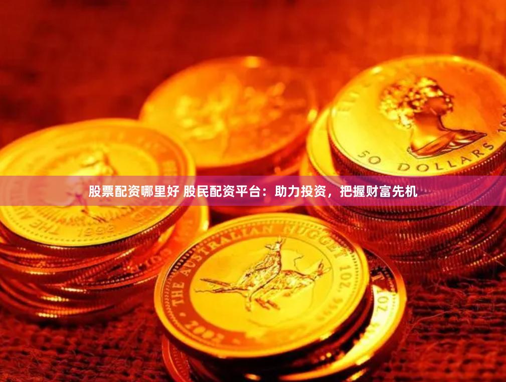 股票配资哪里好 股民配资平台：助力投资，把握财富先机
